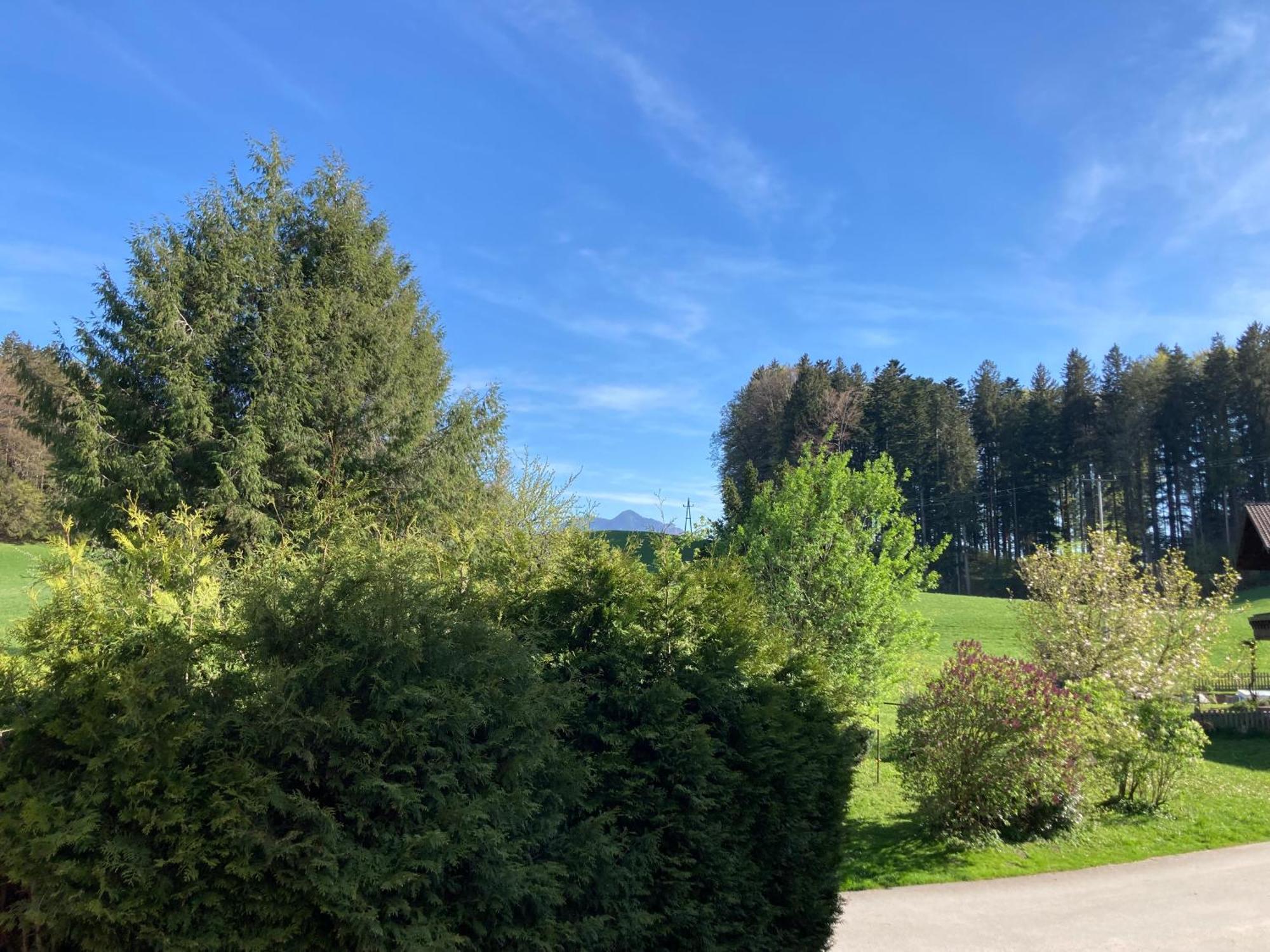 Apartamento Obereggut Hof bei Salzburg Exterior foto