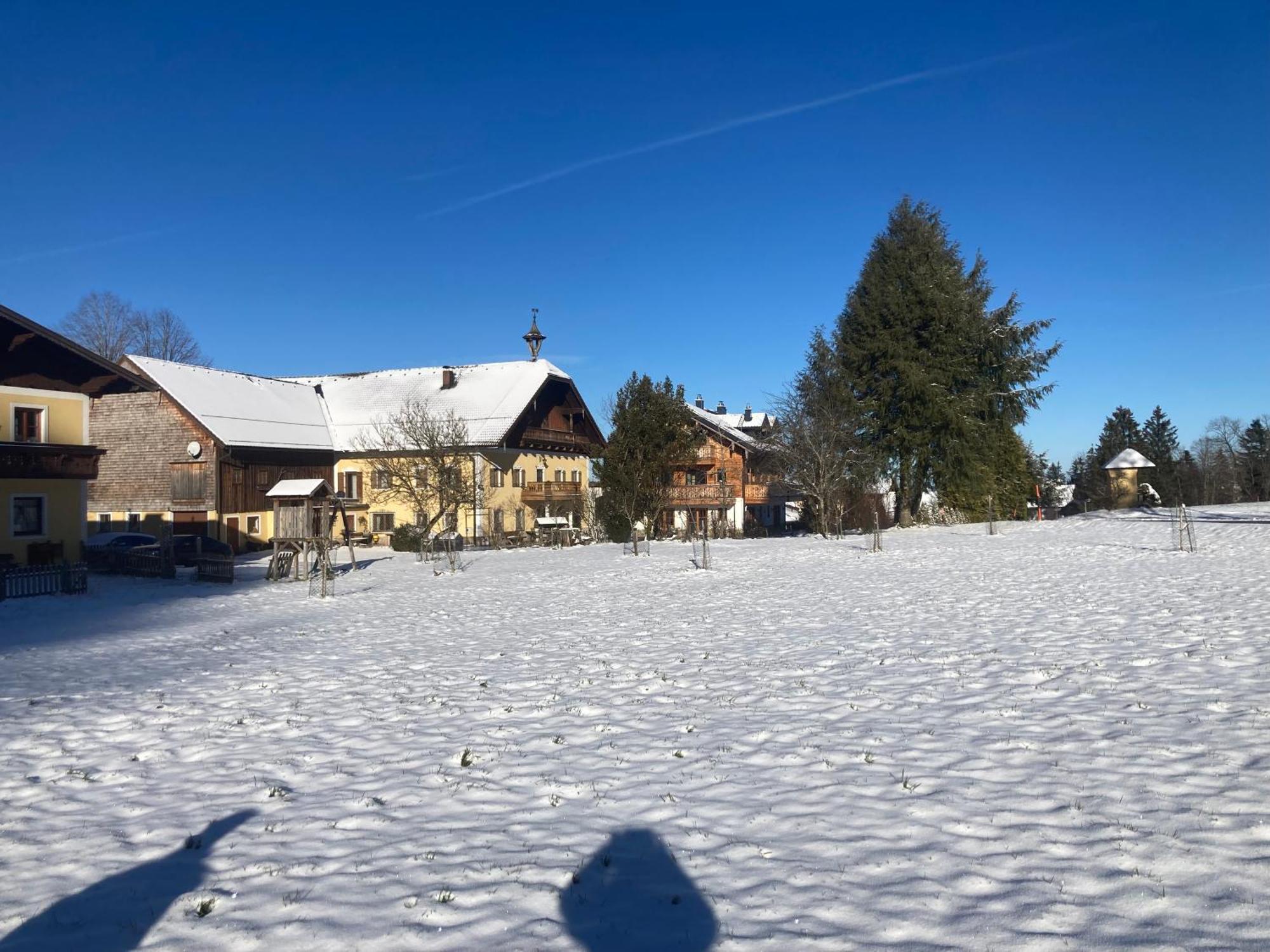 Apartamento Obereggut Hof bei Salzburg Exterior foto